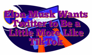 Elon Musk Wants Twitter to Be a Little More Like TikTok