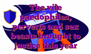 The vile paedophiles, perverts and sex beasts brought to justice this year